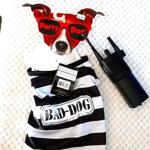 Party Dog costume Jail Bad Dog